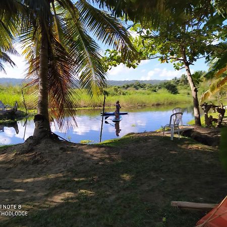Room In Lodge - Method Living Tropical Edition Cabarete Exterior foto